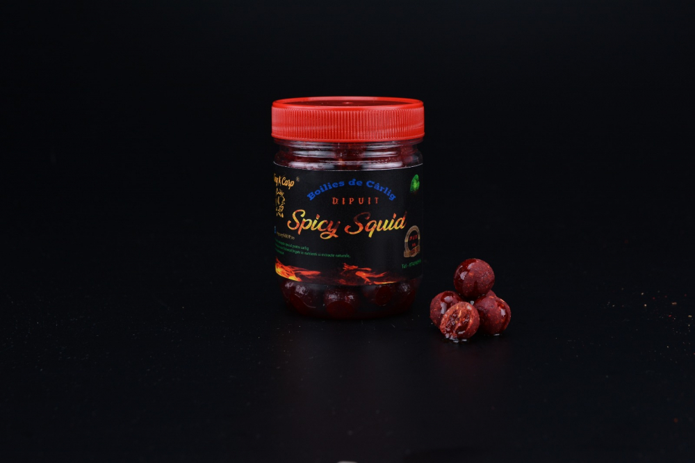 Spicy Squid Dipuite [1]