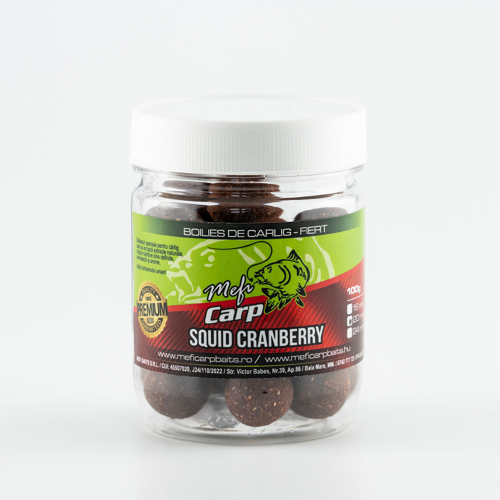 Squid Cranberry Fiert [1]