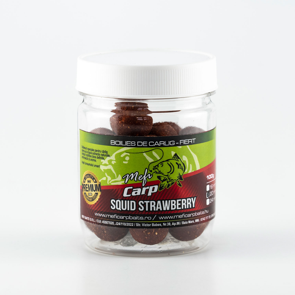 Squid Strawberry Fiert [1]