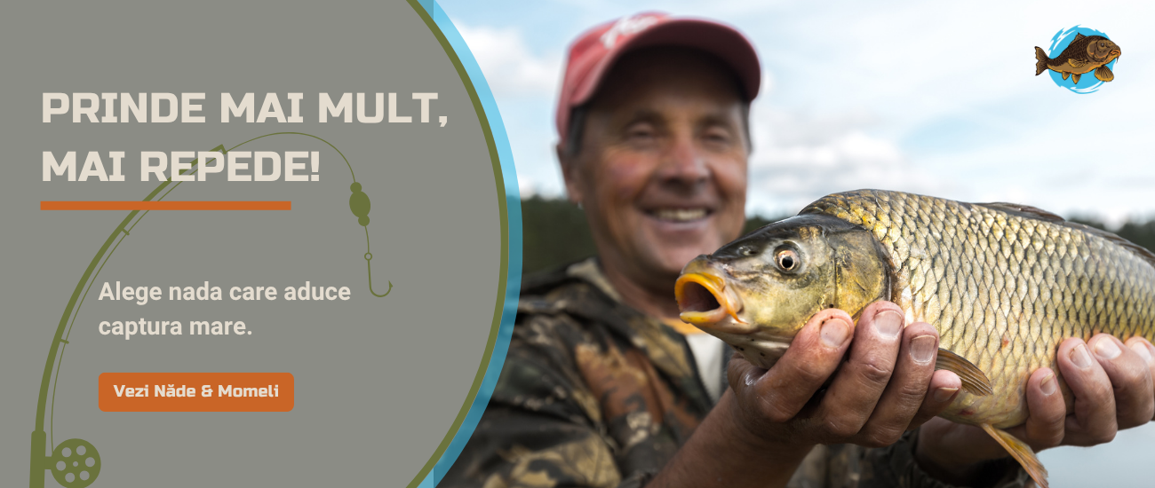 Banner Nade & Momeli