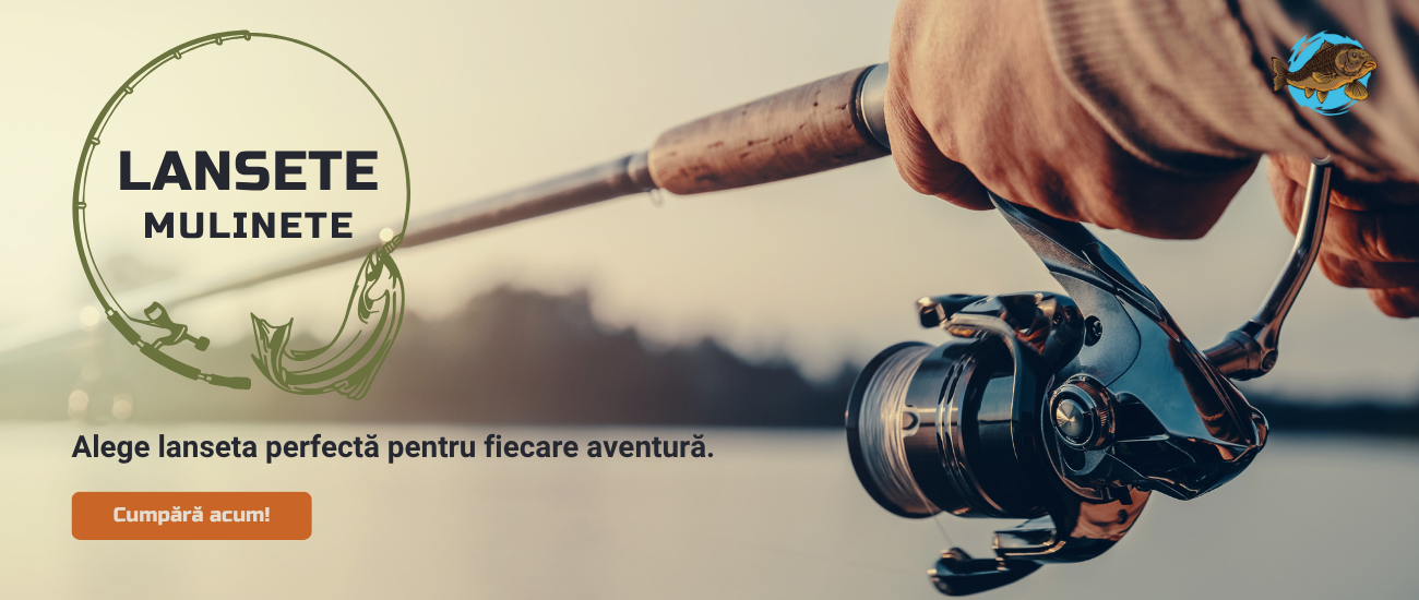 Banner- Lansete & Mulinete