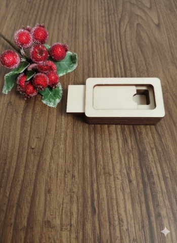 Cutii - Cutie suport stick USB