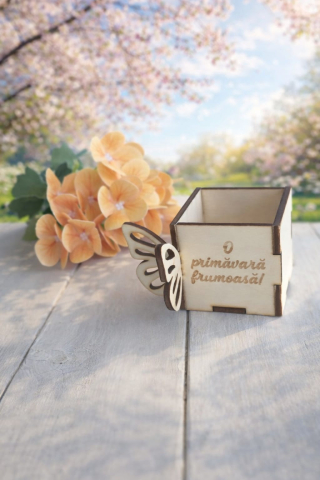 Mini cutie lemn - Mini cutie lemn