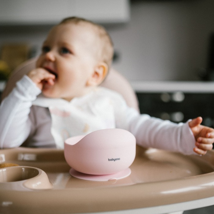 Bol din silicon cu ventuza pentru copii Babyono roz 1481/02 [10]