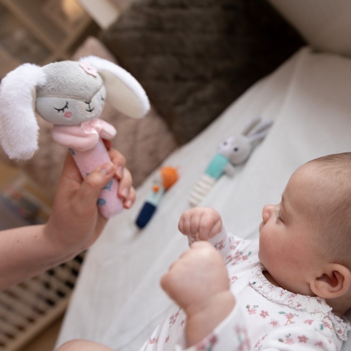 Jucarie chitaitoare Iepurasul Duminica Babyono 1498 [6]