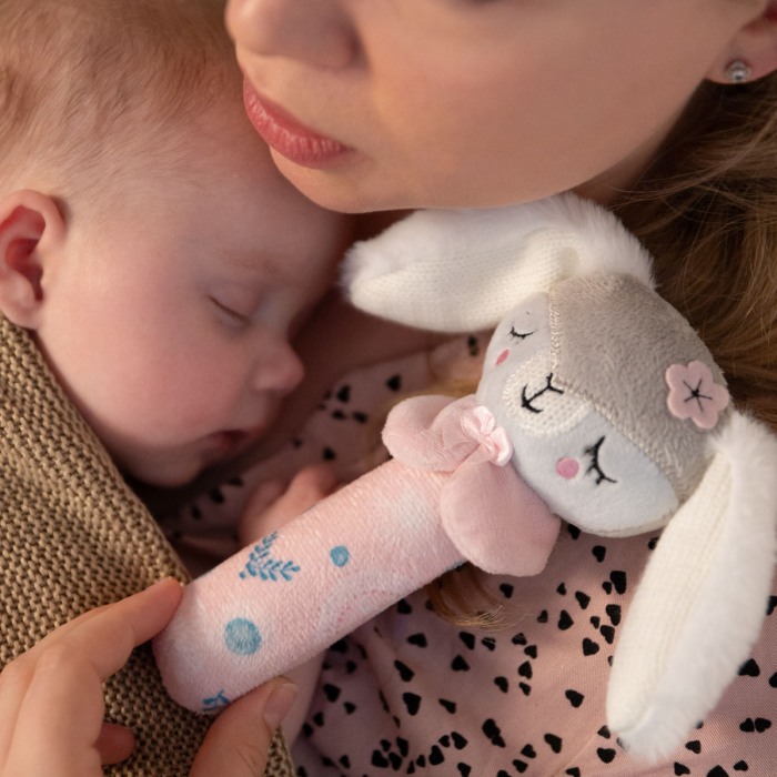 Jucarie chitaitoare Iepurasul Duminica Babyono 1498 [5]
