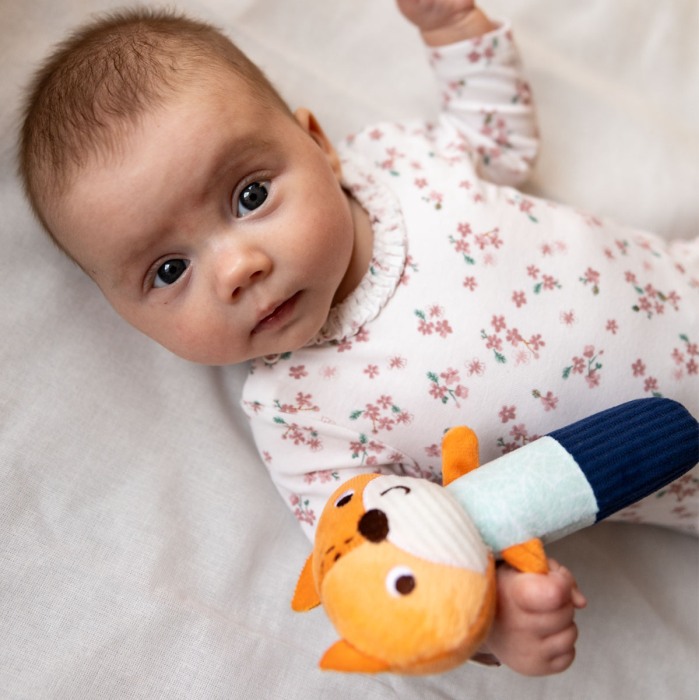 Jucarie chitaitoare plus Vulpita de Luni Babyono 1497 [7]