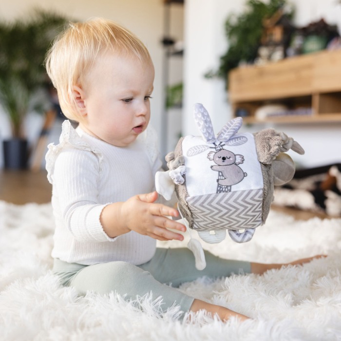 Jucarie cub activitati Babyono Koala Coco 1637 [14]