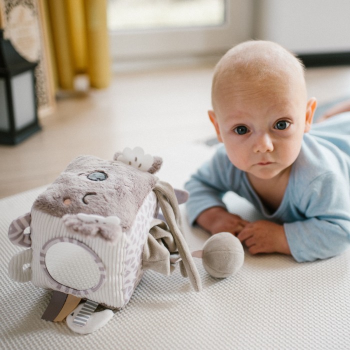 Jucarie cub activitati Babyono Koala Coco 1637 [10]