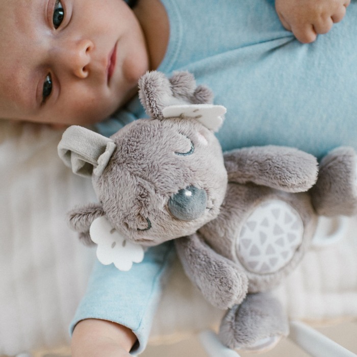 Jucarie muzicala Babyono Koala Coco 1632 [5]