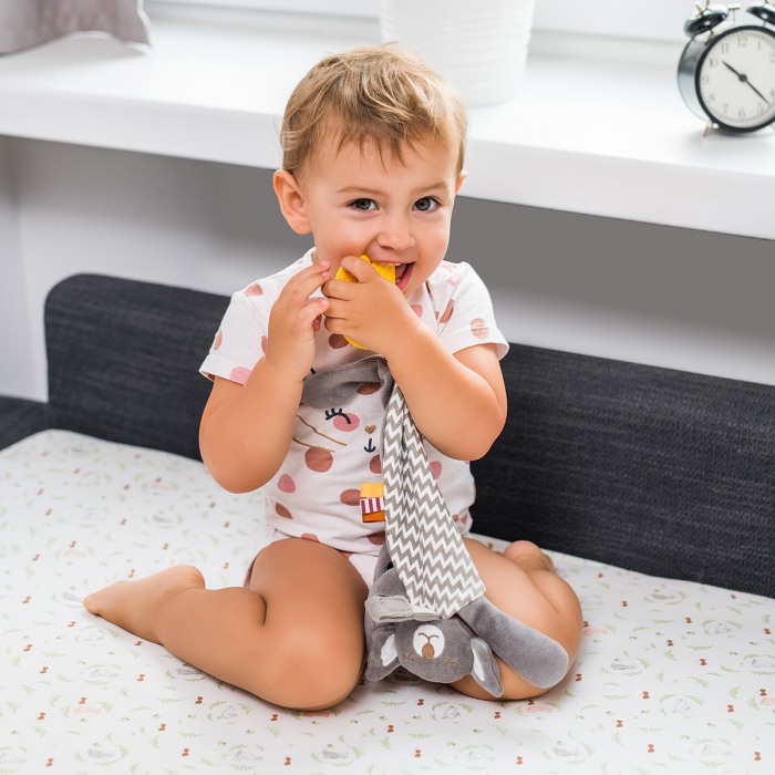 Jucarie plus atasament Saul Babyono 1445 [2]
