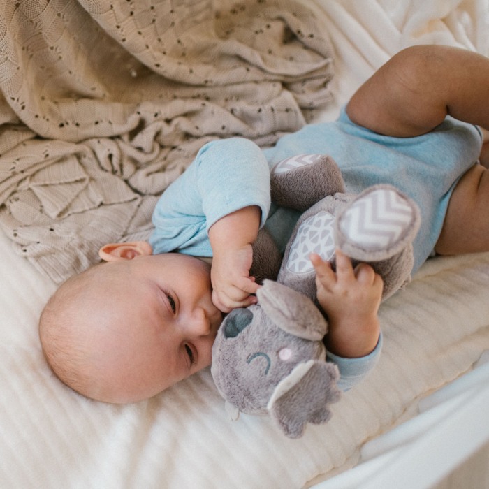 Jucarie plus Babyono Koala Coco 1631 [9]
