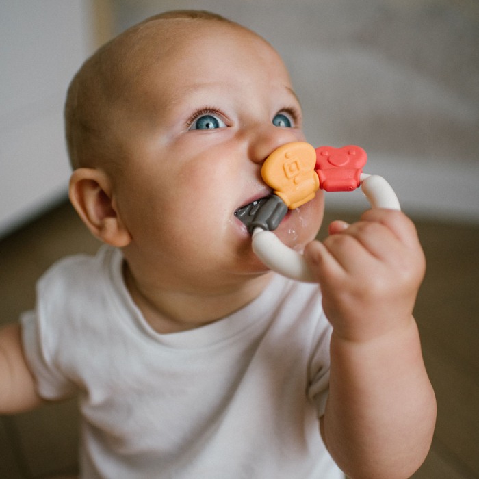 Jucarie sunatoare cu inel gingival Babyono 1595 [2]