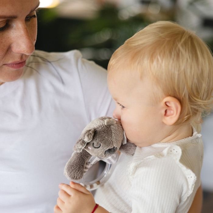Jucarie sunatoare Koala Coco 1634 [9]