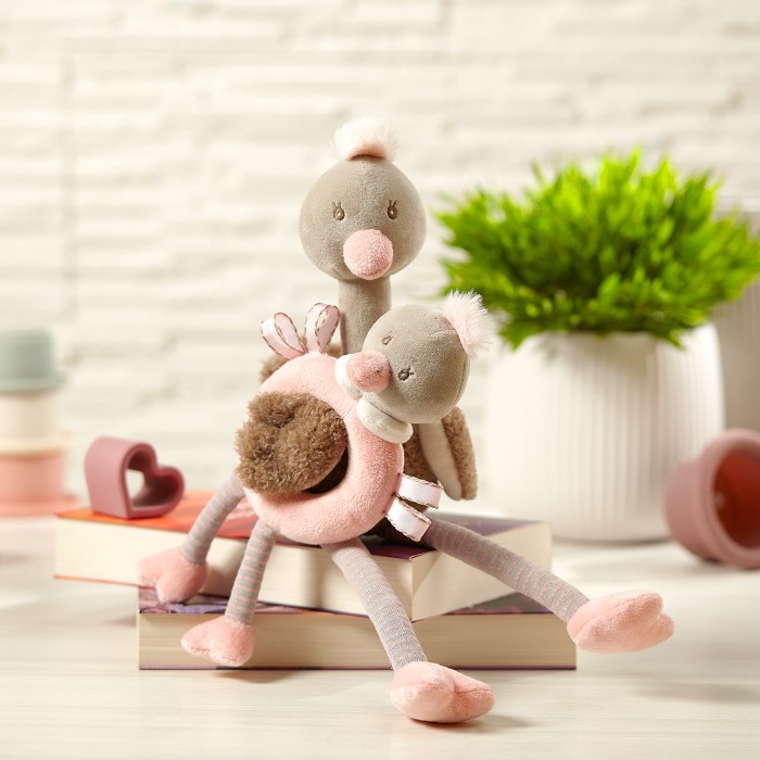 Set jucarii educative plus Babyono 1446 [12]