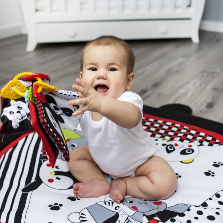 Covoras joaca Babyono 516 [5]