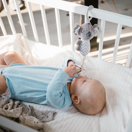 Jucarie agatatoare Babyono Koala Coco 1636 [5]