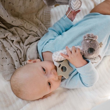 Jucarie chitaitoare Babyono Koala Coco 1633 [5]