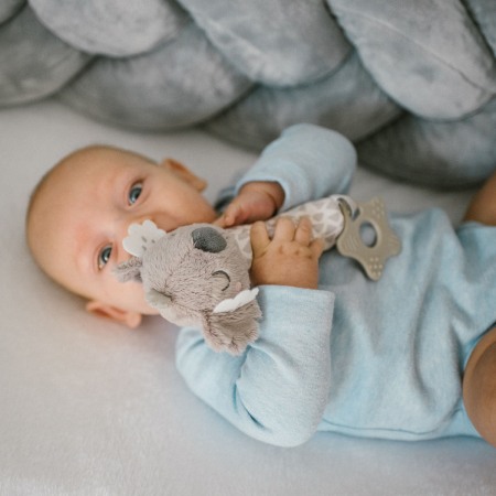 Jucarie chitaitoare Babyono Koala Coco 1633 [1]