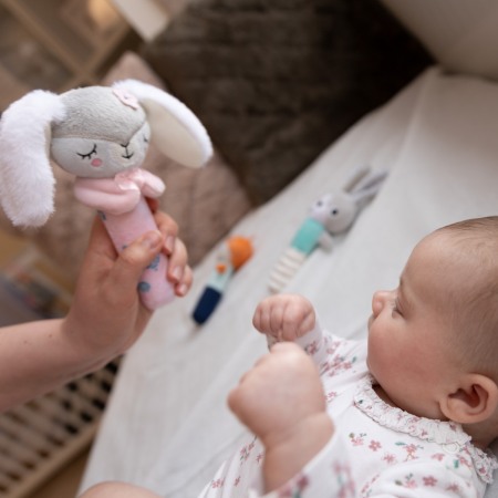 Jucarie chitaitoare Iepurasul Duminica Babyono 1498 [5]