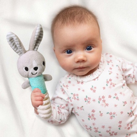 Jucarie chitaitoare plus Iepurasul Hei! Babyono pentru bebelusi 1496 [6]