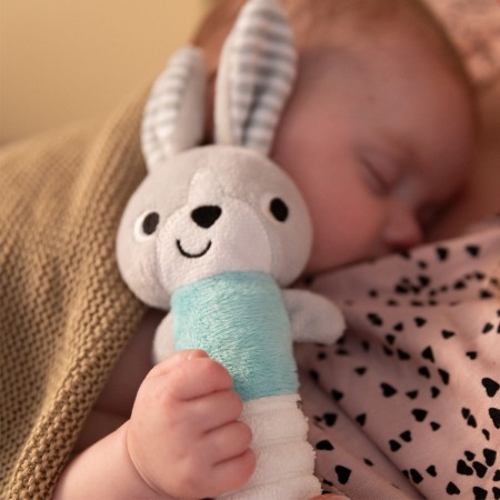 Jucarie chitaitoare plus Iepurasul Hei! Babyono pentru bebelusi 1496 [1]