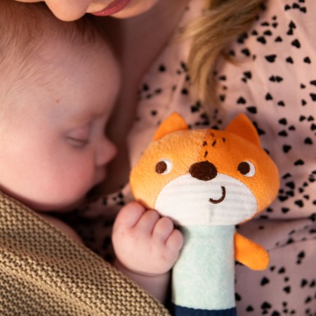 Jucarie chitaitoare plus Vulpita de Luni Babyono 1497 [10]