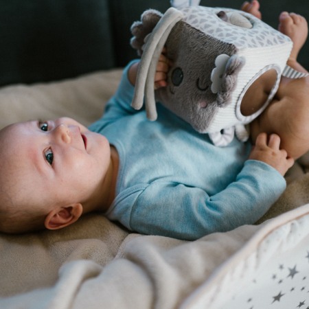 Jucarie cub activitati Babyono Koala Coco 1637 [2]