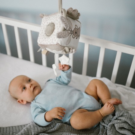 Jucarie cub activitati Babyono Koala Coco 1637 [7]