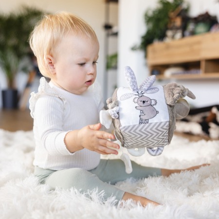 Jucarie cub activitati Babyono Koala Coco 1637 [13]
