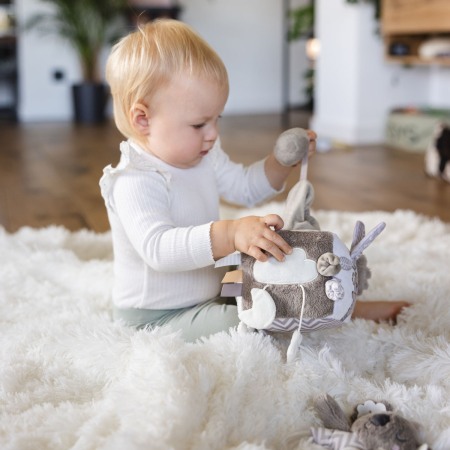Jucarie cub activitati Babyono Koala Coco 1637 [14]