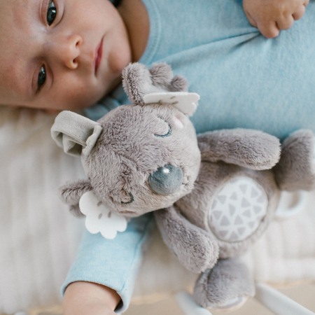 Jucarie muzicala Babyono Koala Coco 1632 [4]