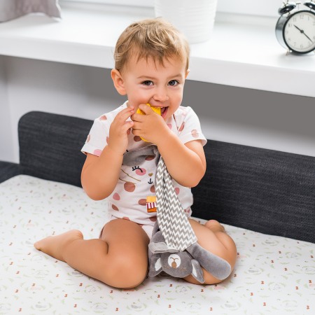 Jucarie plus atasament Saul Babyono 1445 [1]