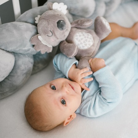 Jucarie plus Babyono Koala Coco 1631 [1]