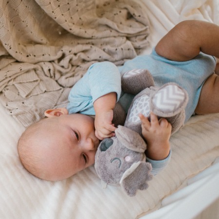 Jucarie plus Babyono Koala Coco 1631 [8]