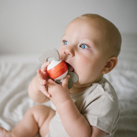 Jucarie sunatoare cu inel gingival Babyono 1587 [1]