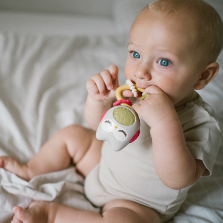 Jucarie sunatoare cu inel gingival Babyono 1588 [1]