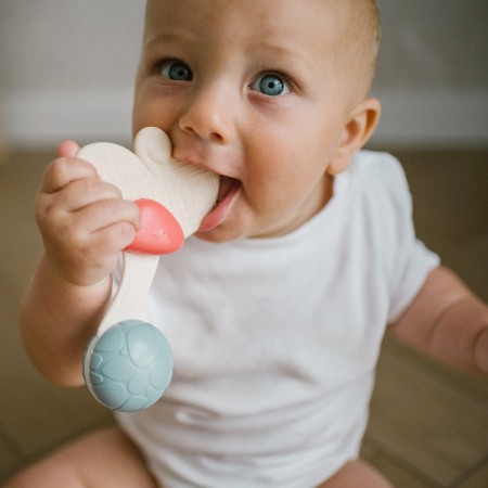 Jucarie sunatoare cu inel gingival Babyono 1589 [1]