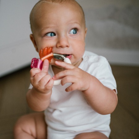 Jucarie sunatoare cu inel gingival Babyono 1594 [1]