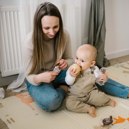 Jucarie zornaitoare copii Babyono 1549 [5]