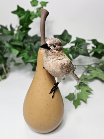 Decor și Atmosferă - Decoratiune BirdL