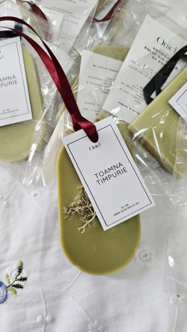 Odorizant Camera - Odorizant camera/dulap