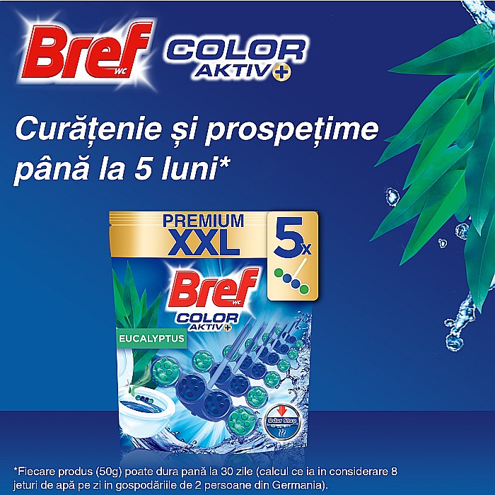 BREF Premium Aktiv Color Odorizant Toaleta EUCALYPTUS XXL 5×50 g [2]
