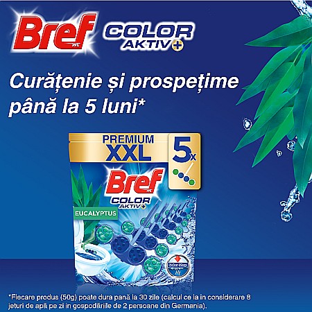 BREF Premium Aktiv Color Odorizant Toaleta EUCALYPTUS XXL 5×50 g [1]