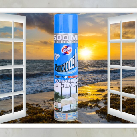 XANTO Zazoosh Spuma de Curatare pt Geamuri & Sticla 500 ml [1]