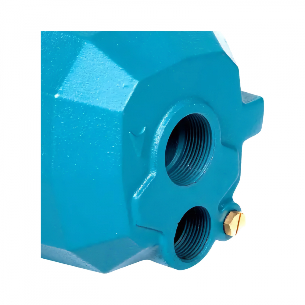 Hidrofor adancime DP 370 50 litri Ibo [4]