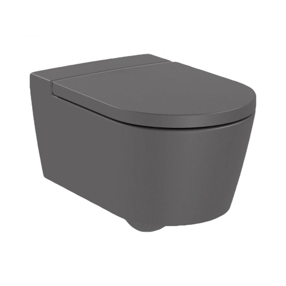 Pachet 5 bucati WC suspendat rimless onyx Inspira Round Roca [2]