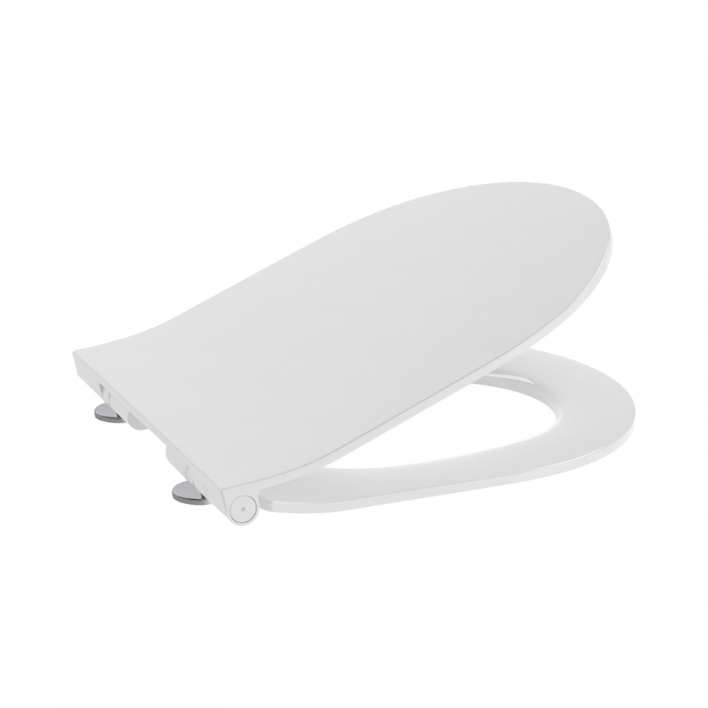 Pachet 5 bucati WC Meridian Round Rimless prinderi complet ascunse Roca [5]