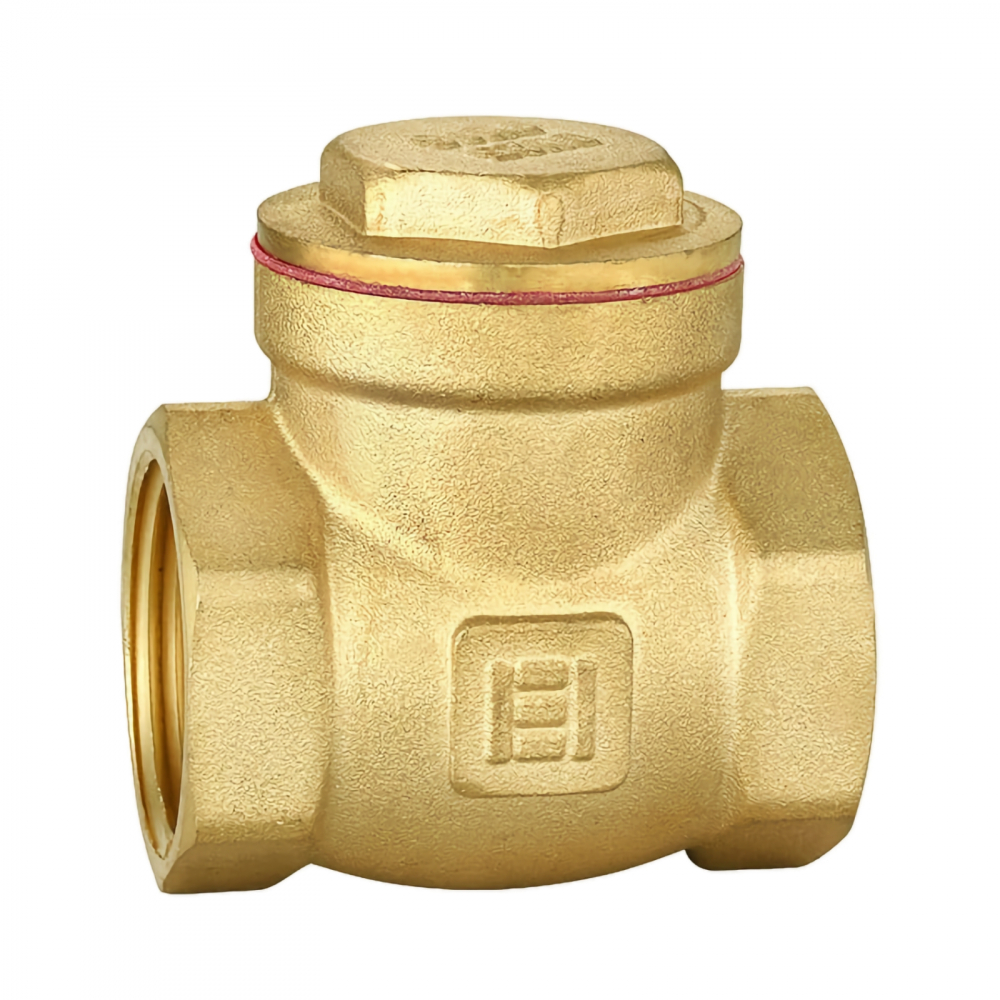Supapa de sens cu clapeta 1/2" SLK [1]