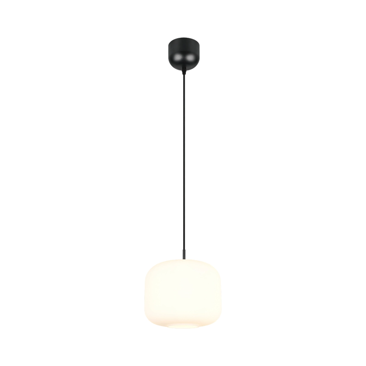 Corpuri de iluminat - PENDUL SIGNE EXCL.1XE27 | R36861901
